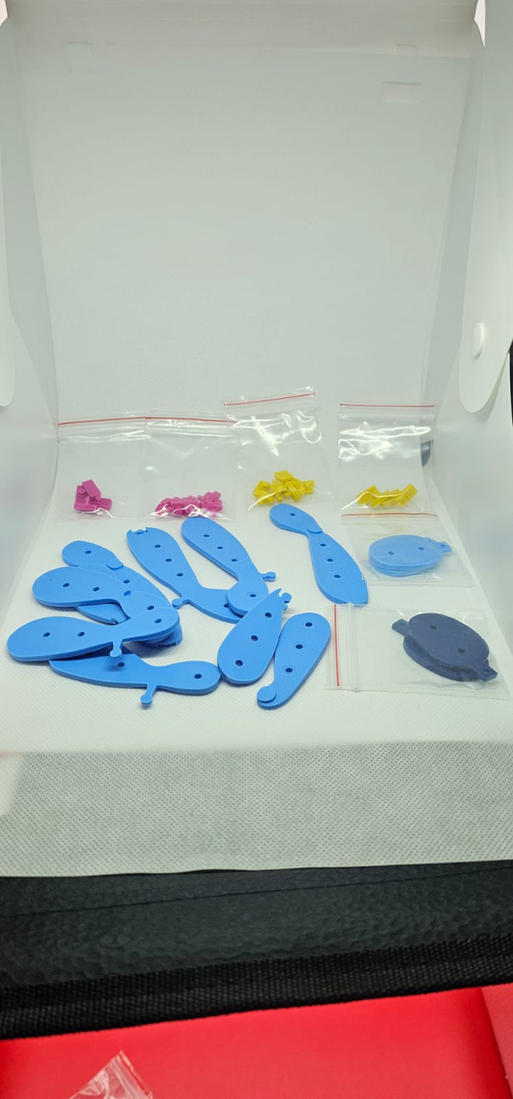 Kit Modelando la Mitosis y la Meiosis Celular