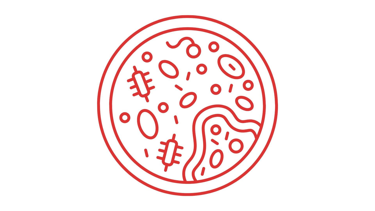 MICROBIOLOGÍA