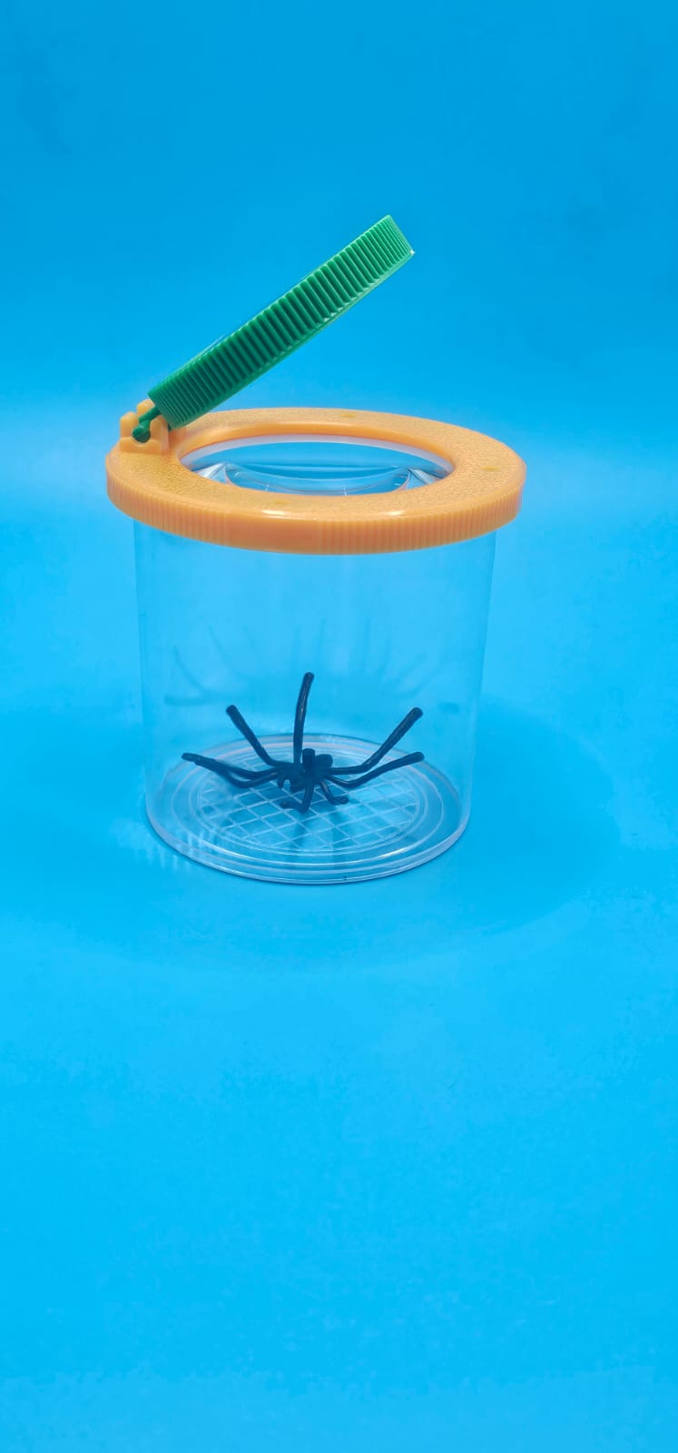 Vaso Lupa Visor de Insectos con Doble Lente 3x y 6x